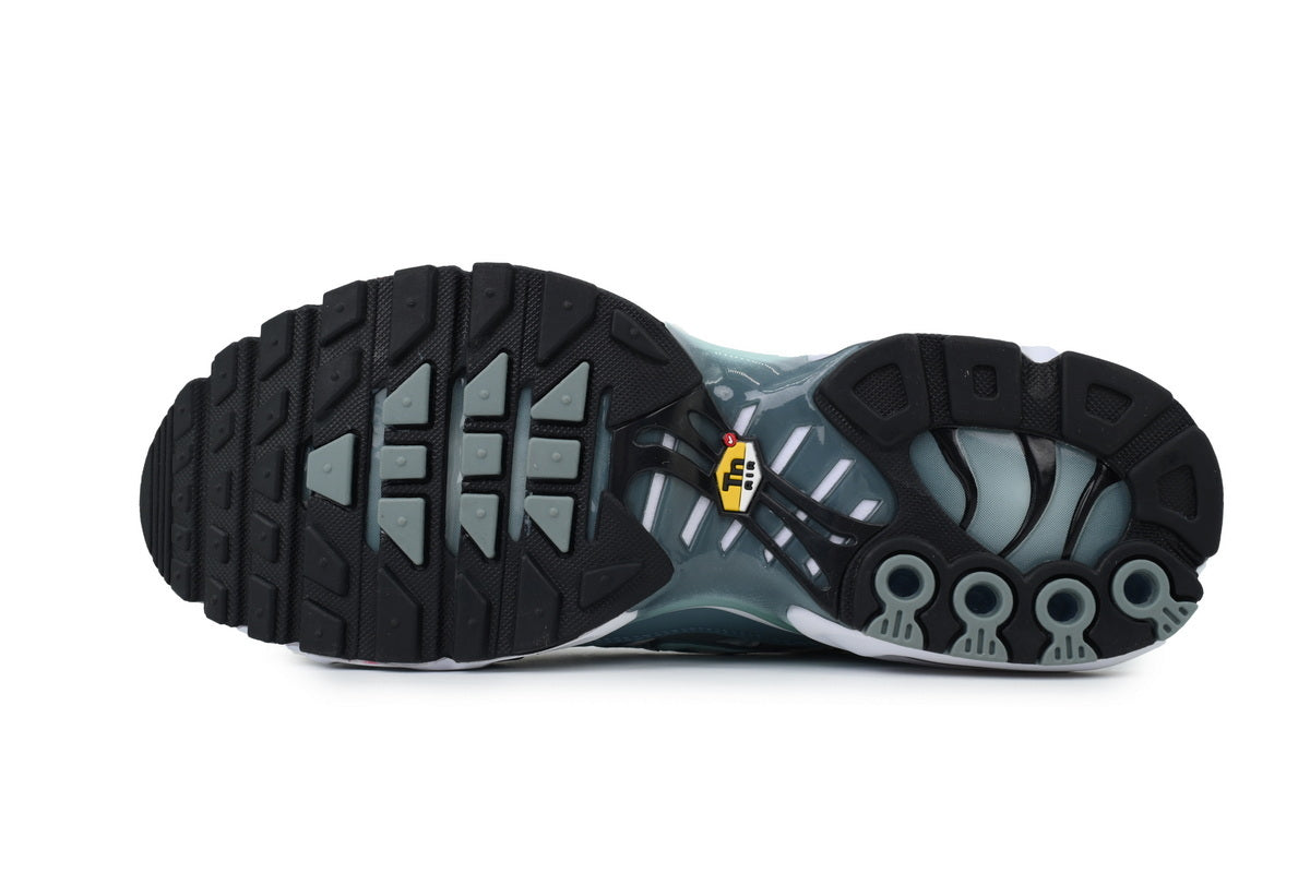 Nike Air Max Plus Sneakers | EU 39¨C47.5